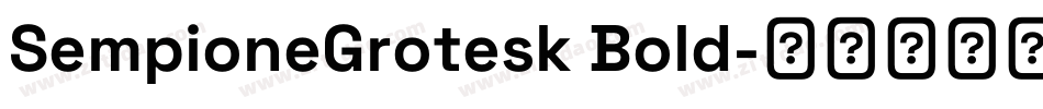 SempioneGrotesk Bold字体转换